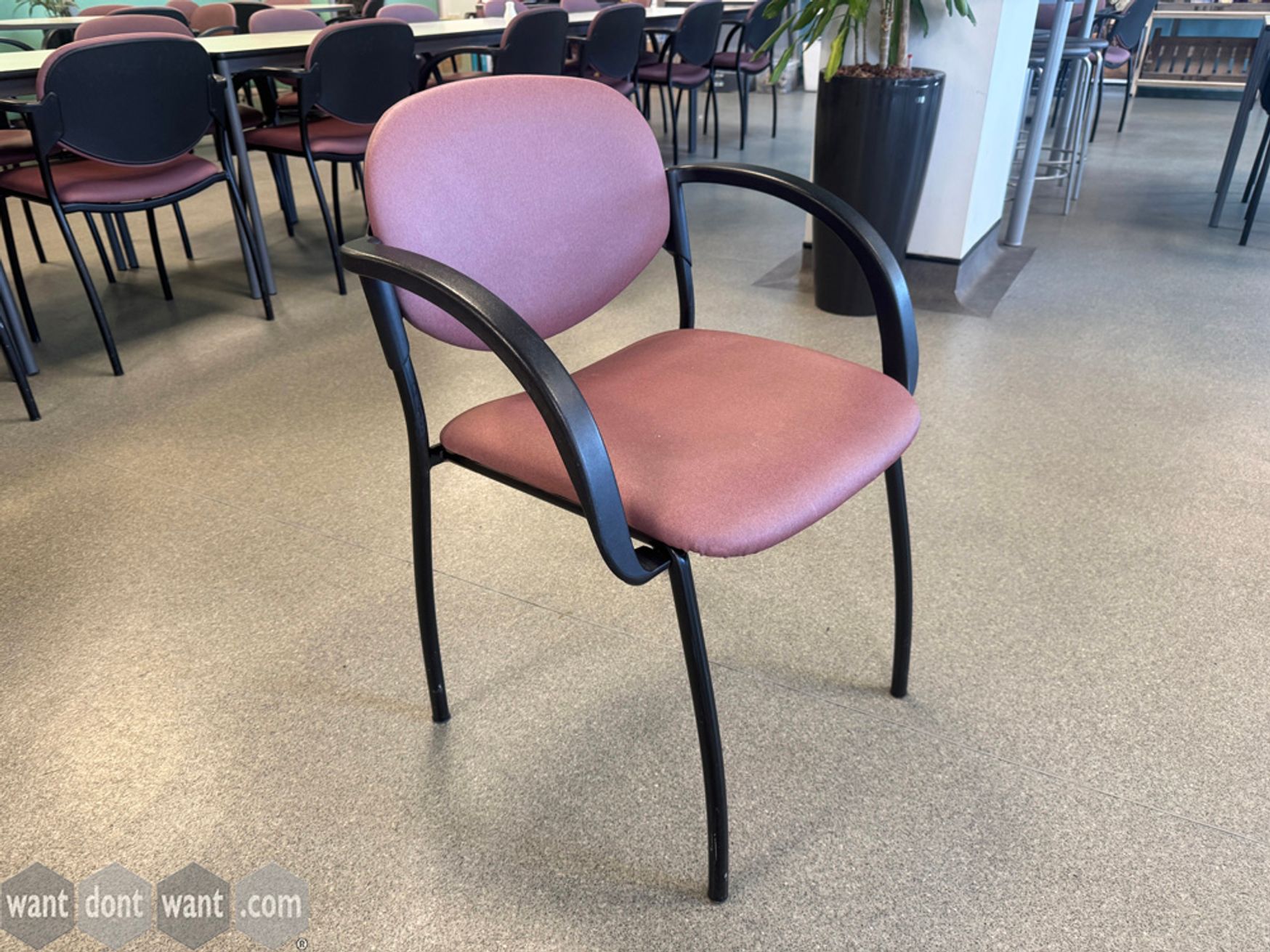 Used stacking chairs with purple seats and black frame