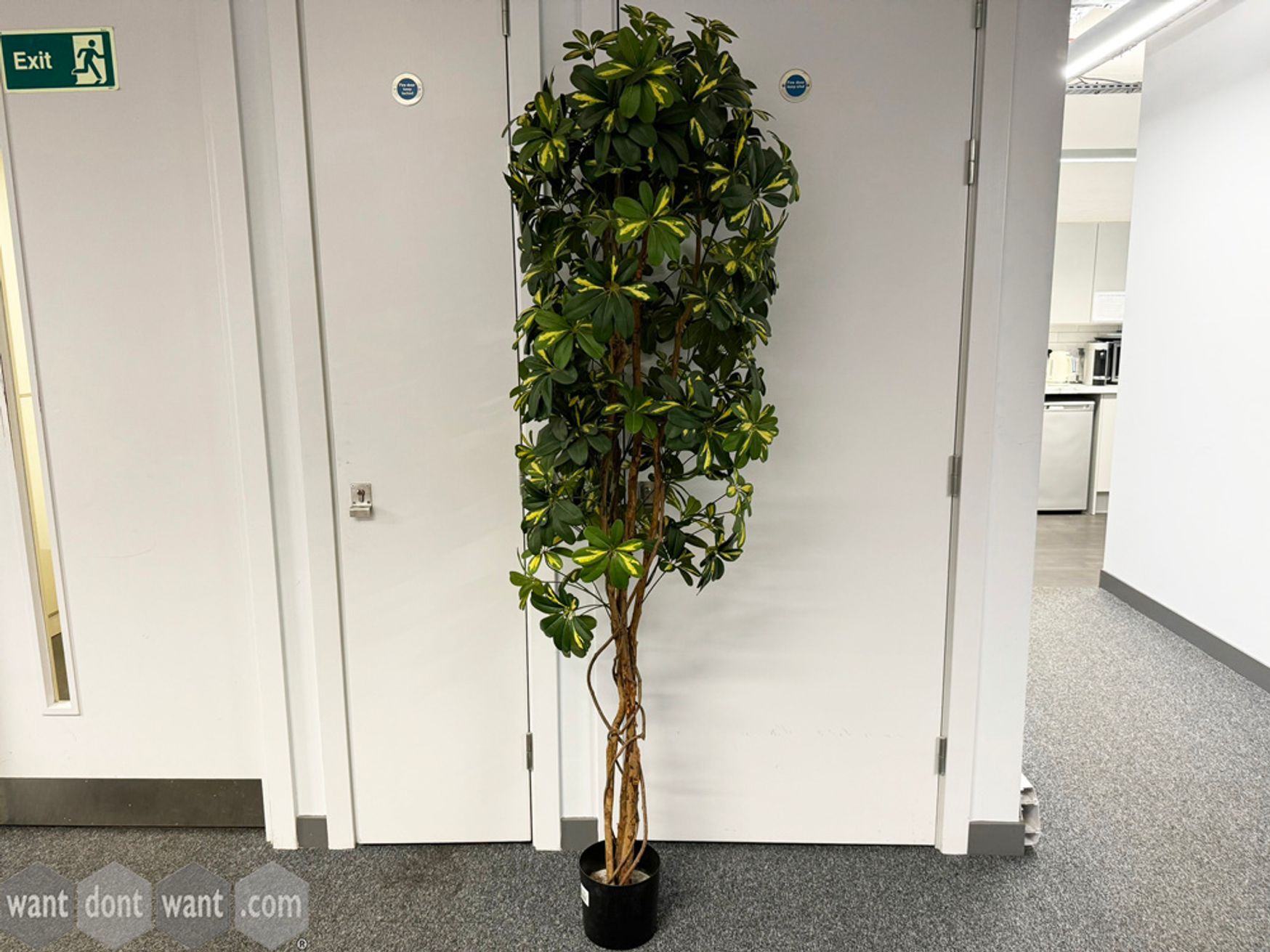 Used artificial plant
