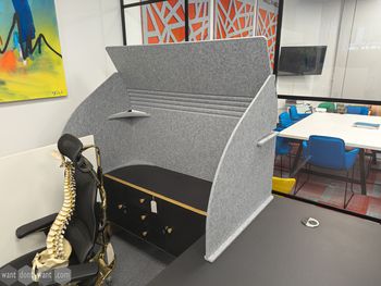 Ex-display acoustic screen