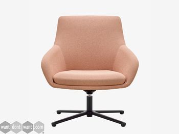 New lounge chairs with four-star base