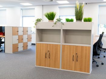 New Cupboards with Open Section & Planter Top