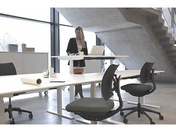 <b>If YOUR company is considering Electric, Height-Adjustable 'Sit/Stand' desks - please read this!<b>