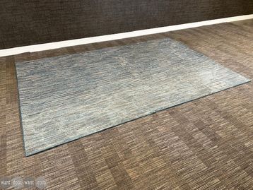Used Desso rug