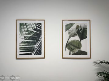 Used artwork prints of plants
