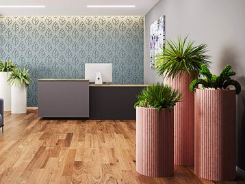 New Acoustic Planters