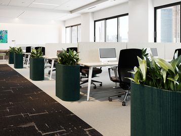 New Acoustic Planters